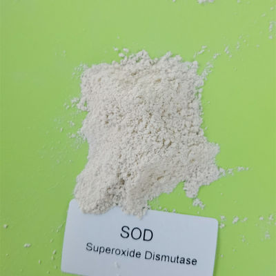 Food Grade 50000iu / g Superoxide Dismutase In Skincare 9054-89-1