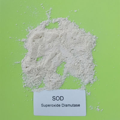 50000iu/g مجوز تولید غذا SOD پودر سوپراکسید دیسموتاز